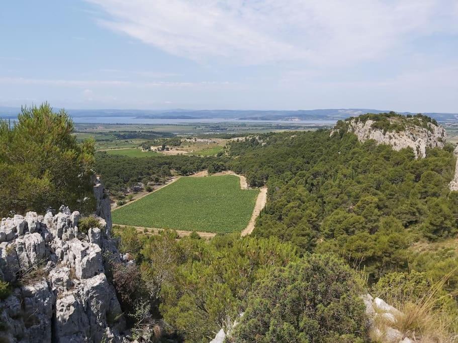 Location Appartement à Gruissan Méditérranée Extérieur photo