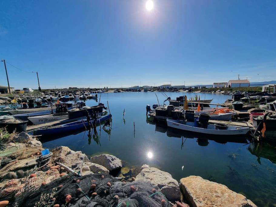 Location Appartement à Gruissan Méditérranée Extérieur photo